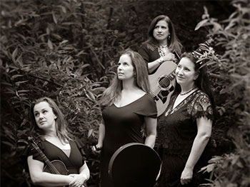 Photo of Band